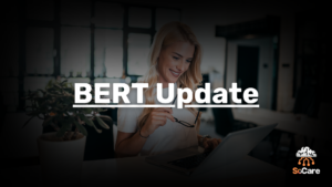 SoCare-GmbH_Was_ist-bert-update