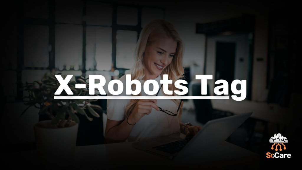 SoCare-GmbH_Was_ist_x-robots-tag