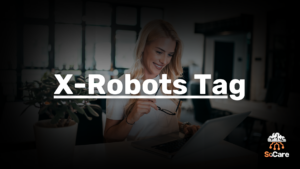 SoCare-GmbH_Was_ist_x-robots-tag